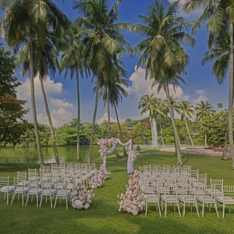 Read more about the article THE SAUJANA HOTEL